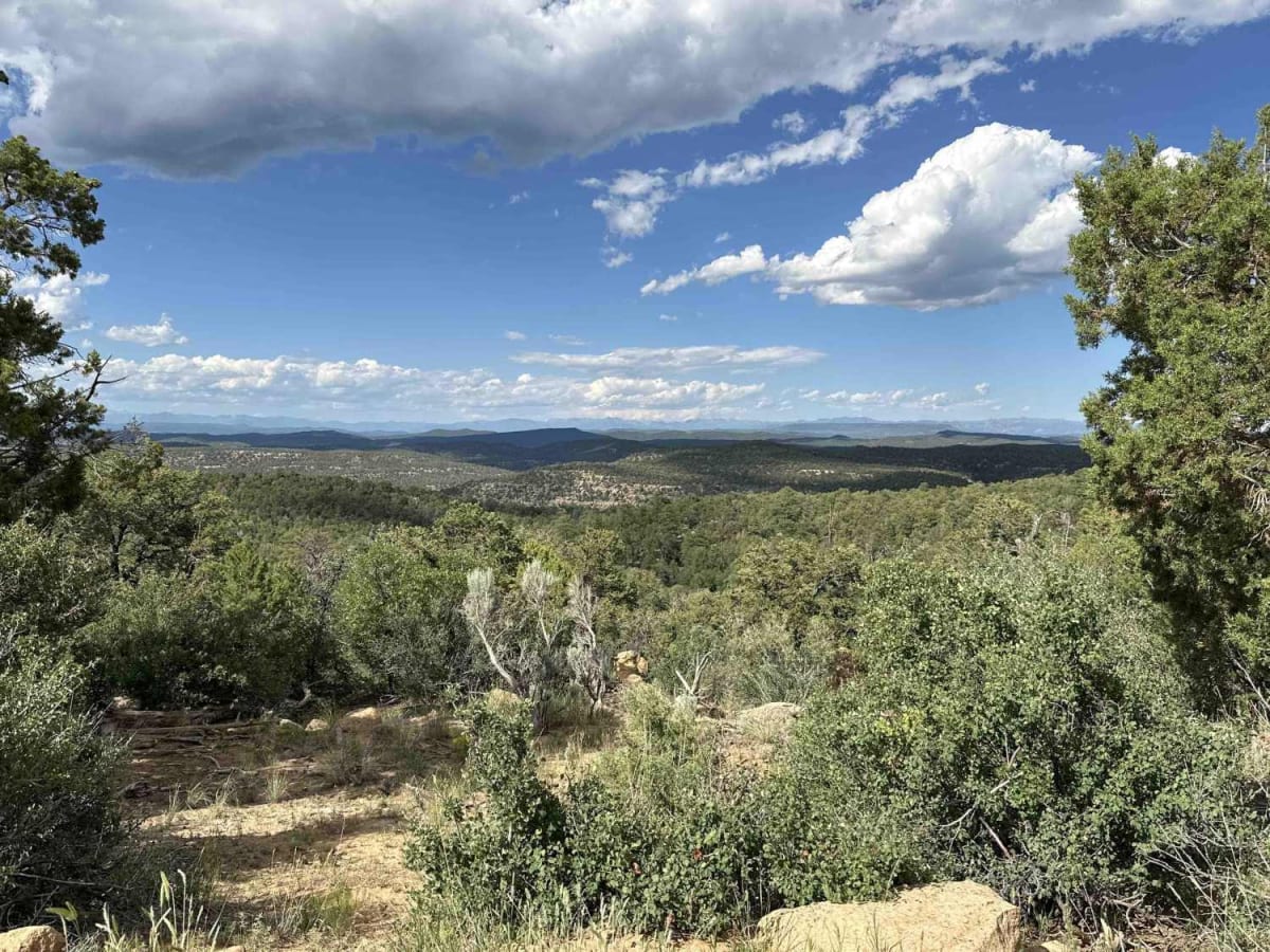 American Canyon - FSR 310 trail photo