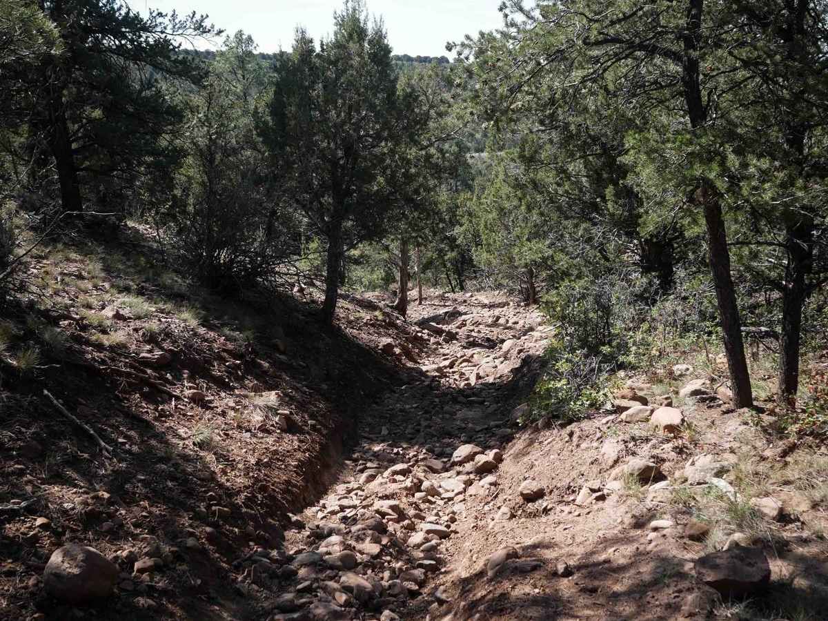 Ute Creek photo 5