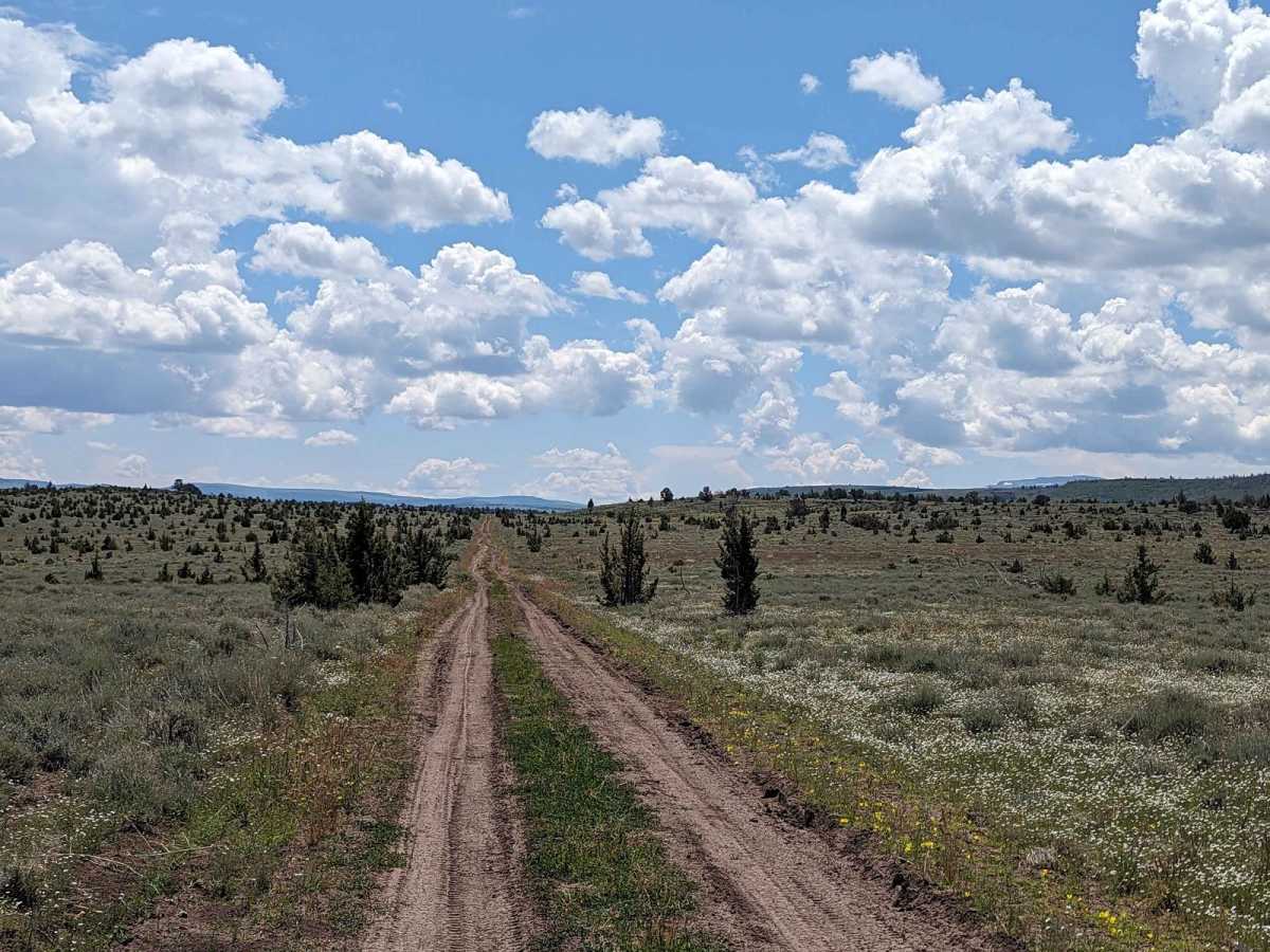 Moon Hill to Dust Bowl Road photo 4