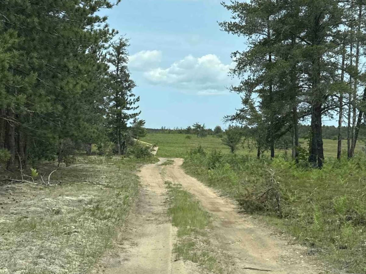 FS 3608 photo 3