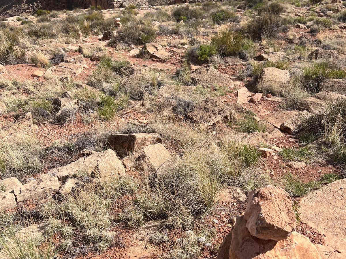 Vaseys Hiking Trailhead photo 6
