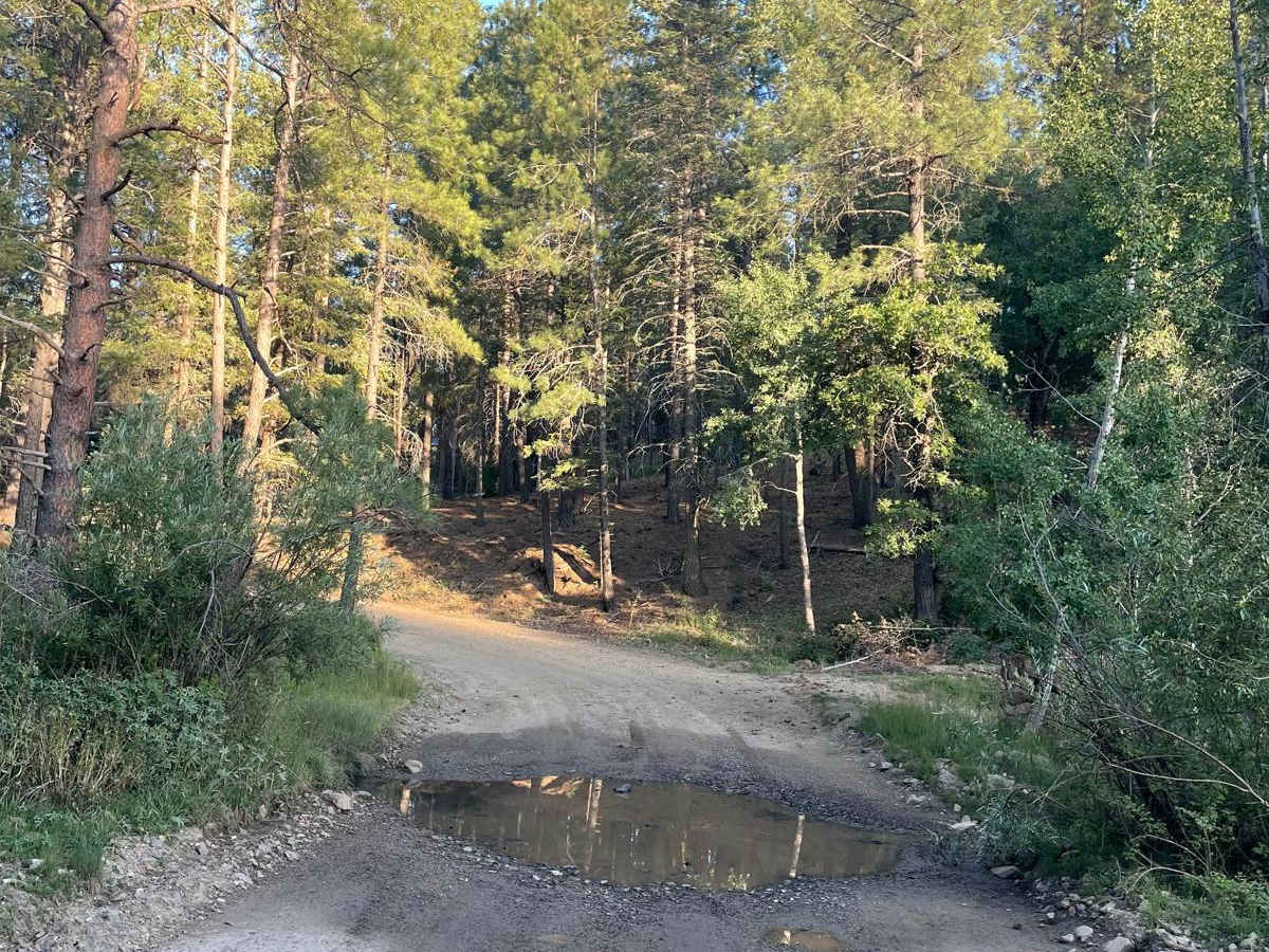 South Walker Road trail photo