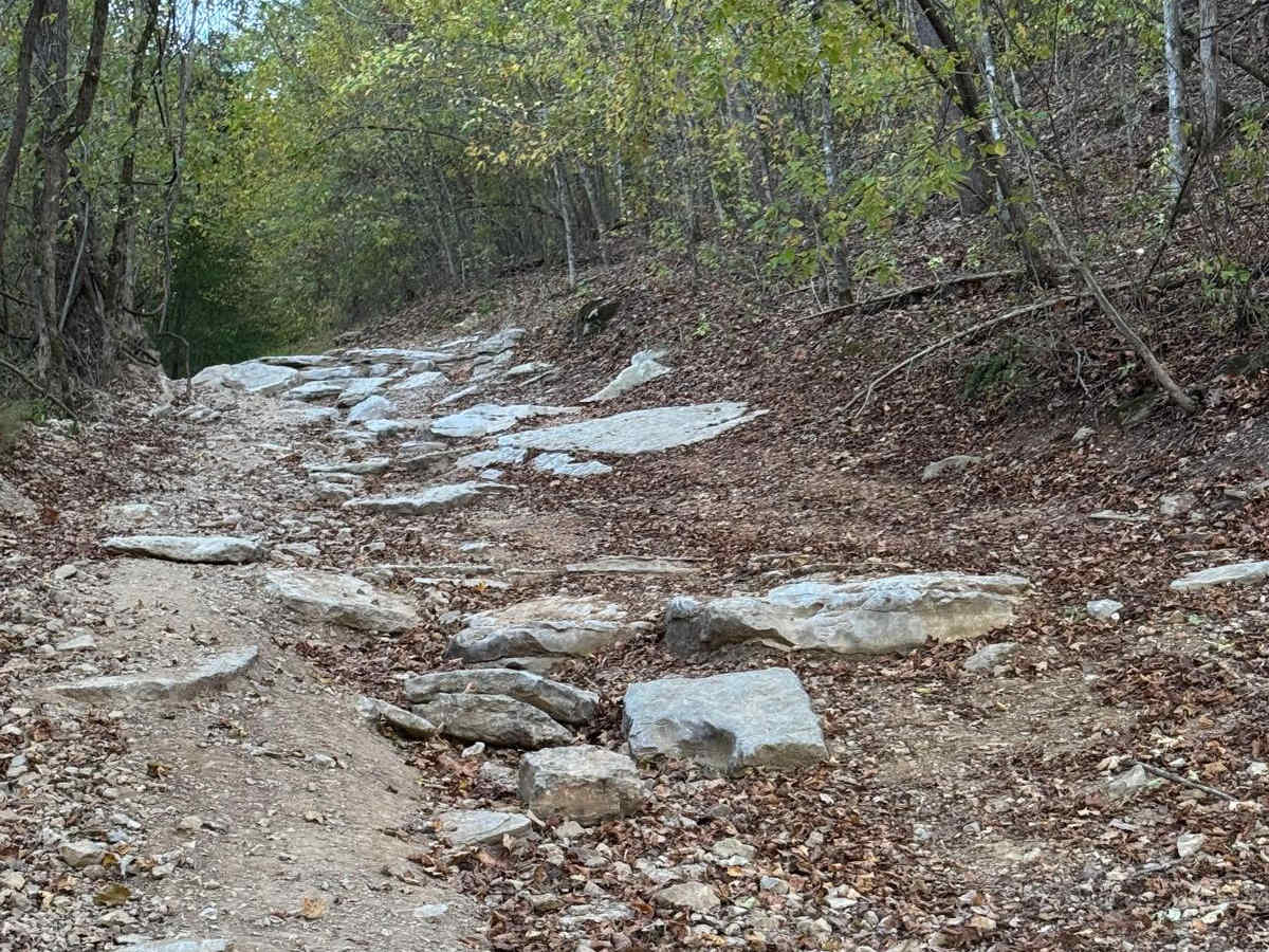 Assault Opossum Hill 16 photo 3