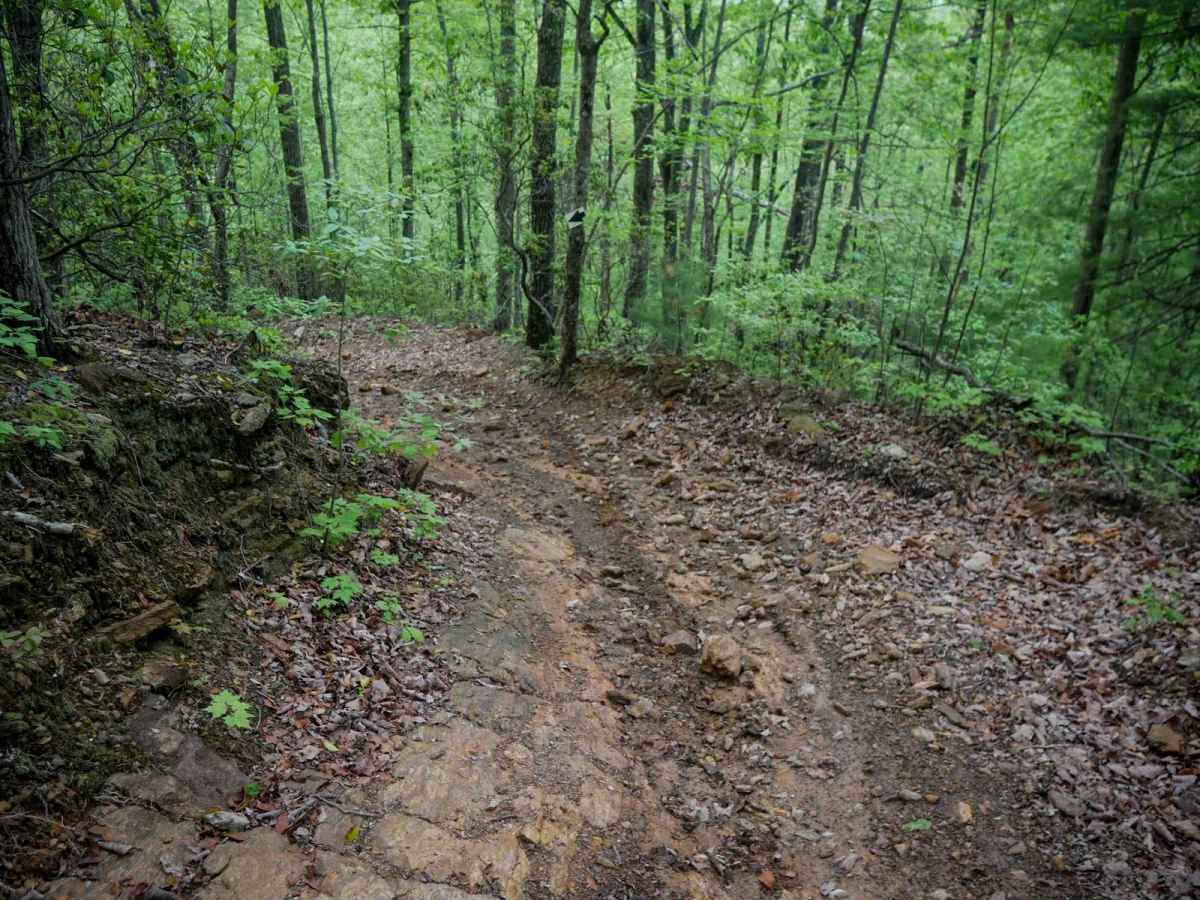 2A Hang Glide Hill photo 5
