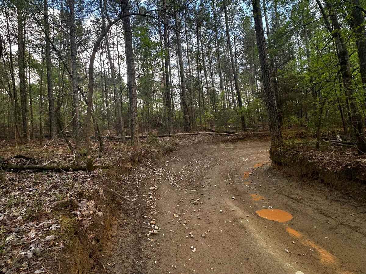 Trail 2 photo 2