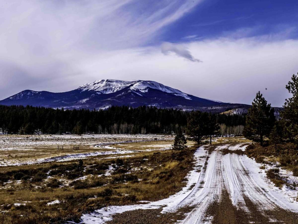 Bear Gulch Road - 158 photo 4