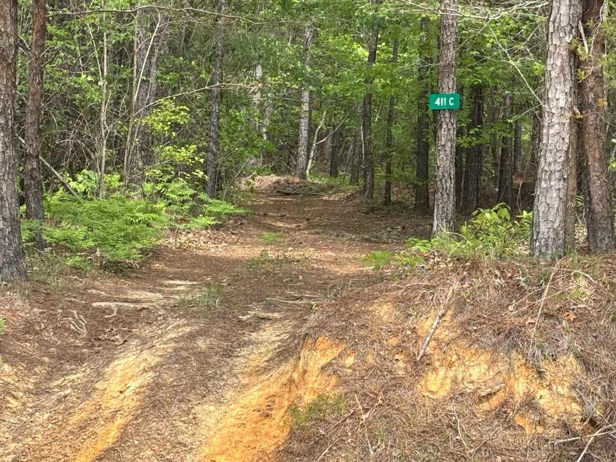 411C trail photo