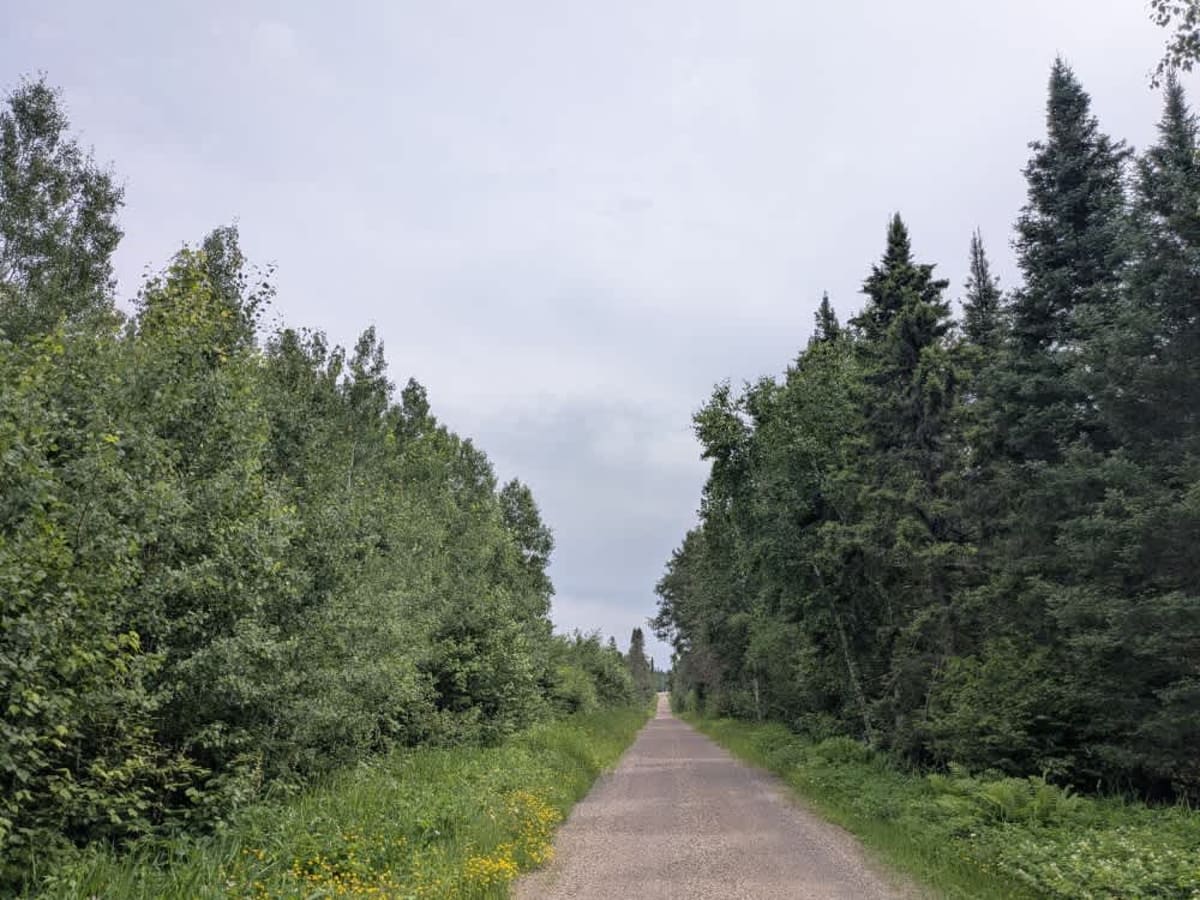 Pine Lake Access Road photo 3