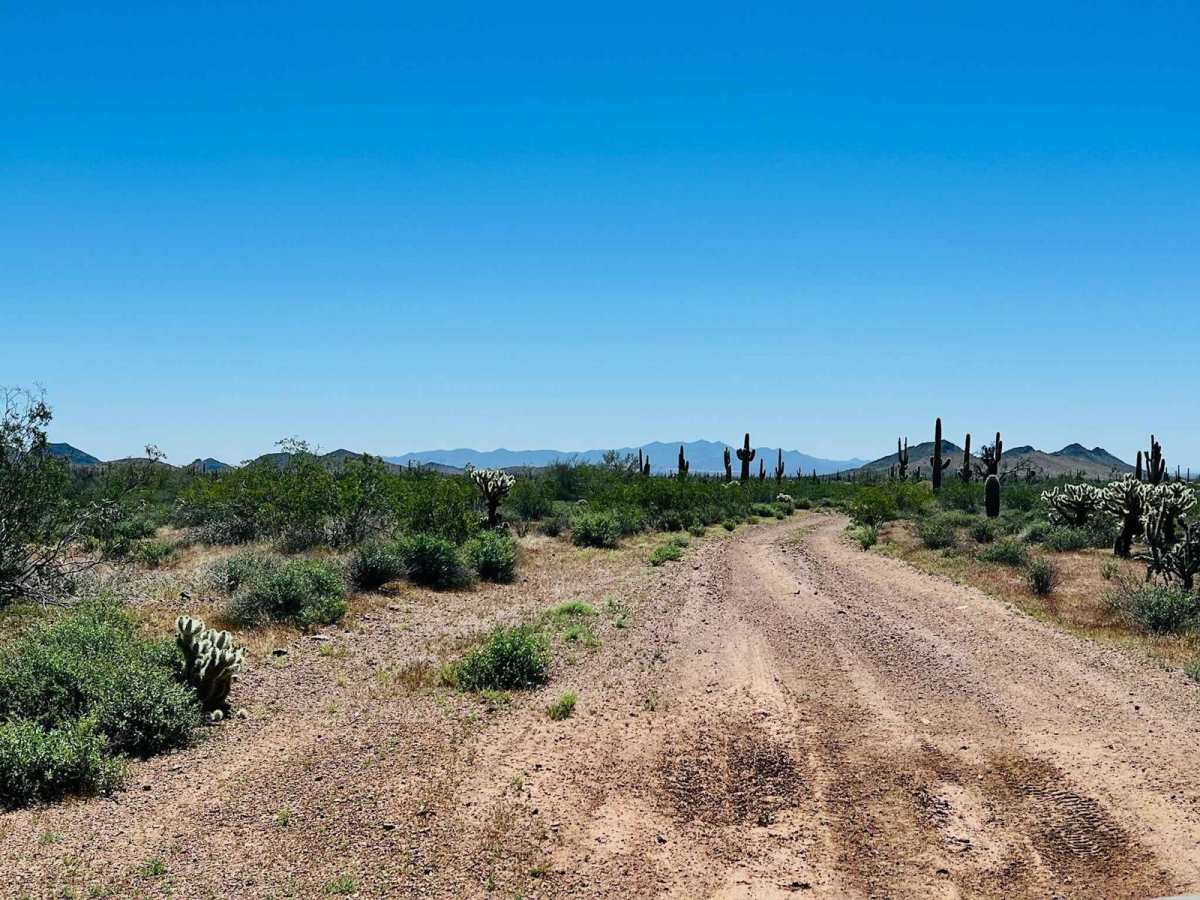9058 Old Corral photo 3