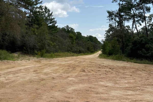 Thomas Trail - ONF 49