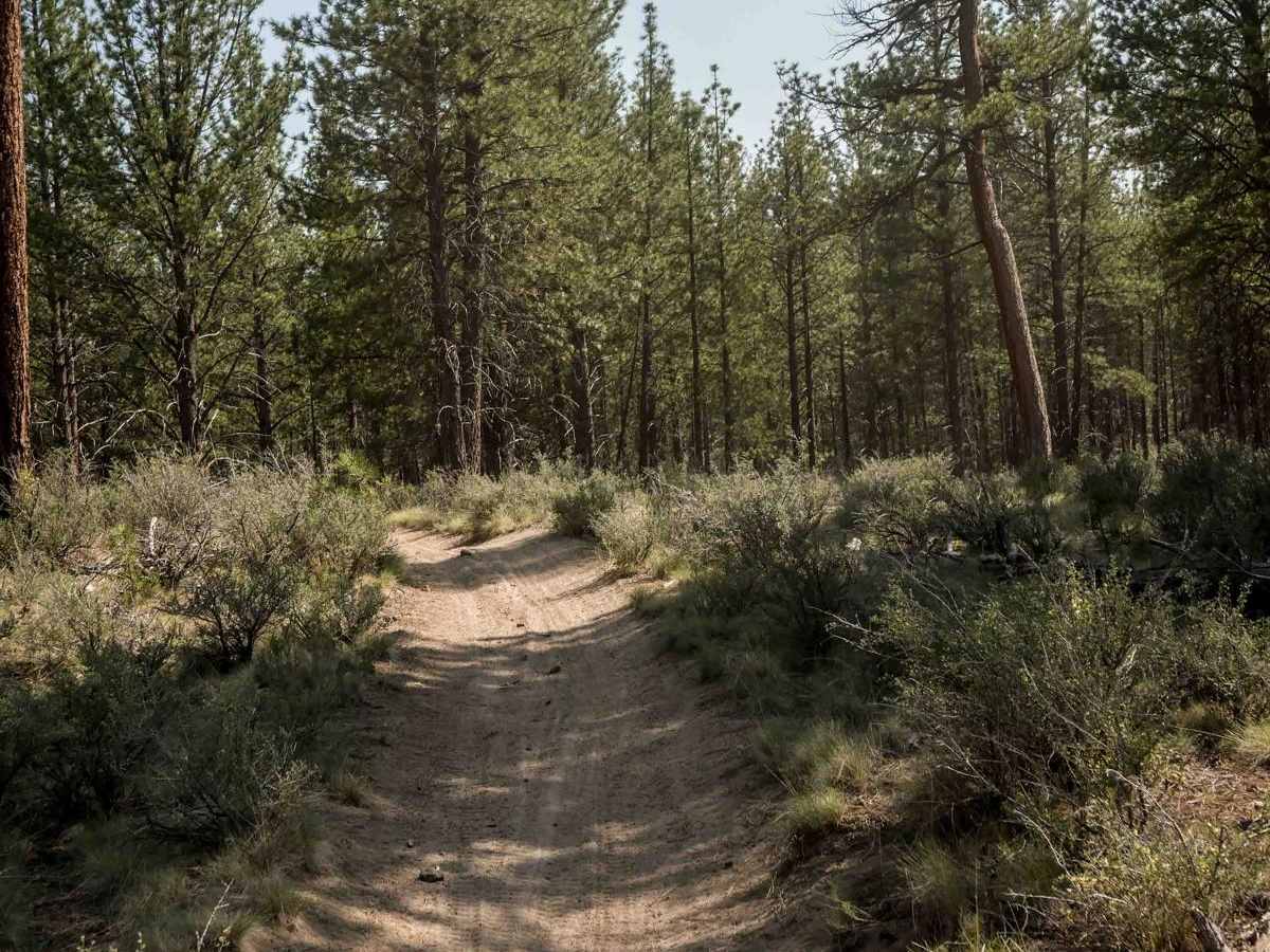 27 trail photo