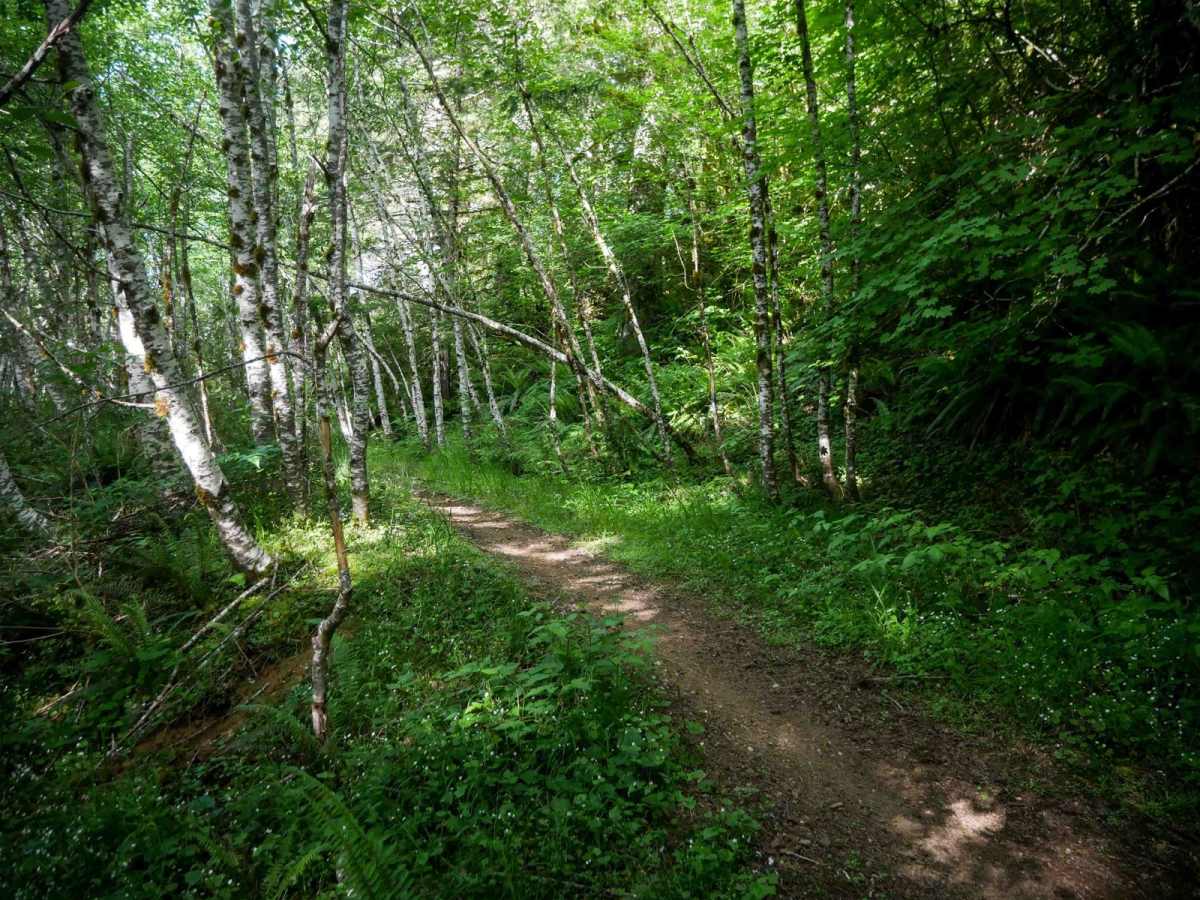 #41E ATV photo 6