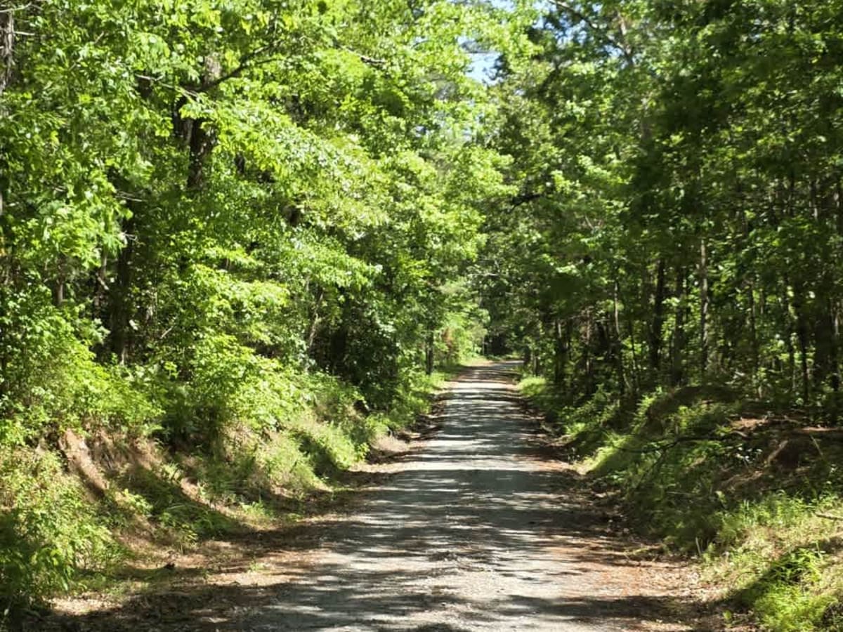 Cub Lake Trail photo 2