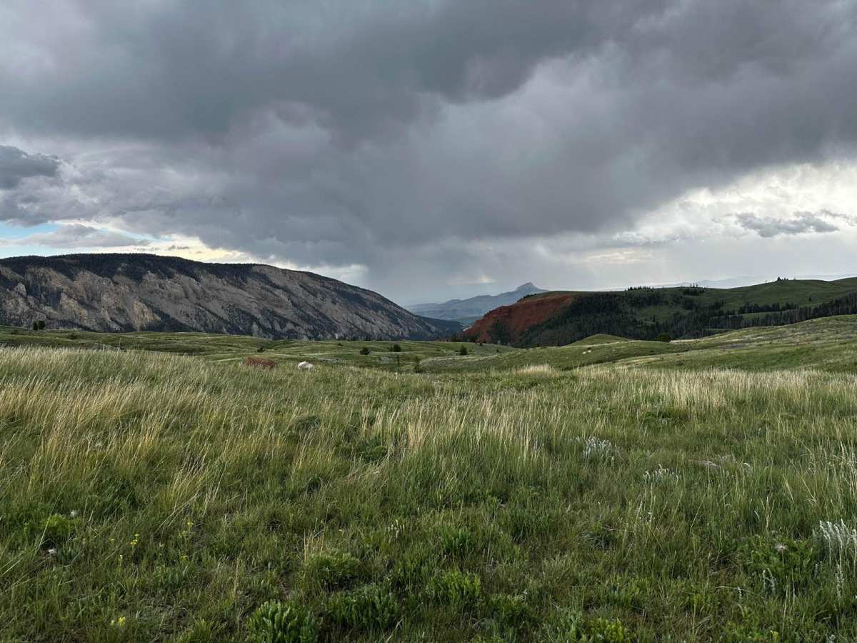Monument Hill Access - FS 401 photo 6