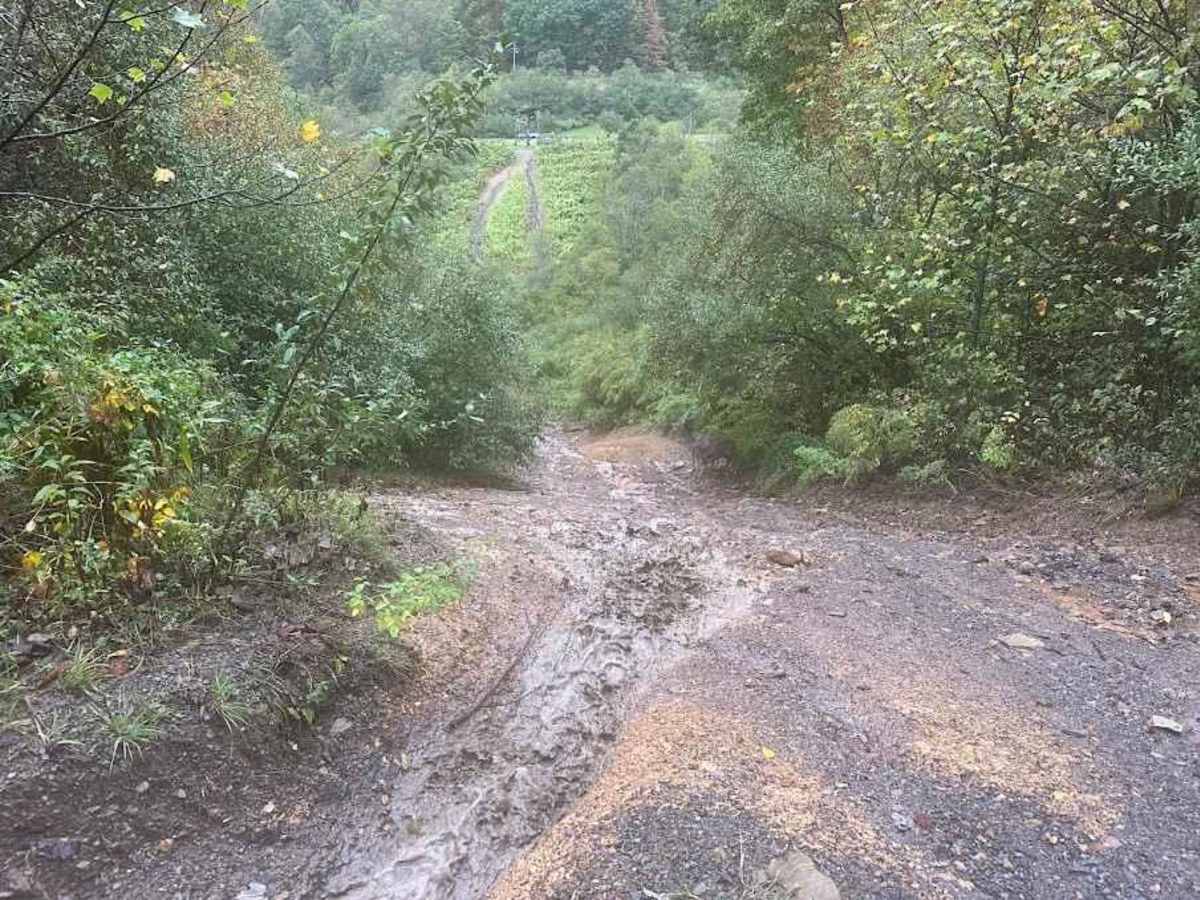 Black Hillclimb trail photo