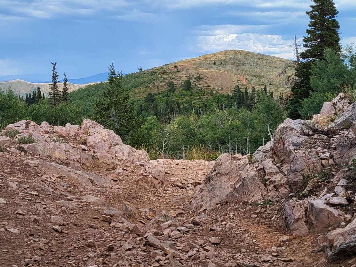 Great Western Trail photo 4