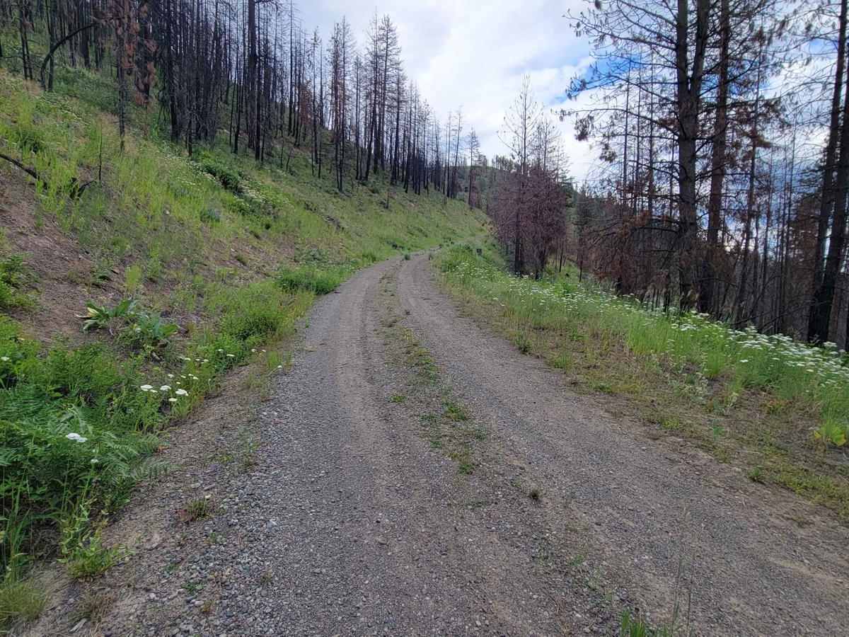 Cow Creek Road 4415040 photo 5