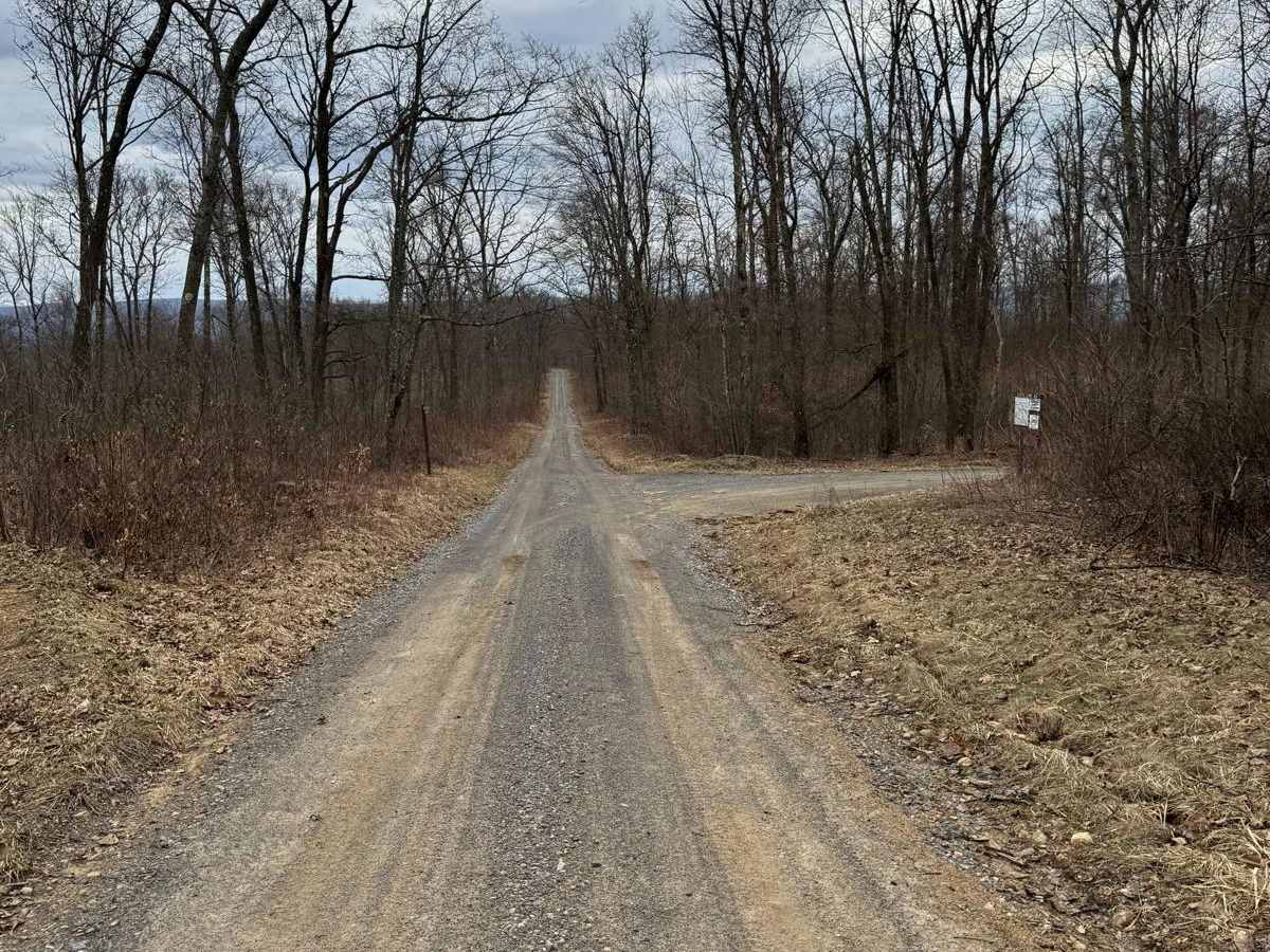 Eddy Ridge Road photo 5