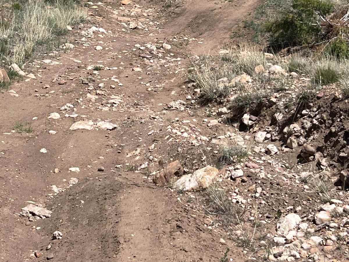 Wilson Draw trail photo