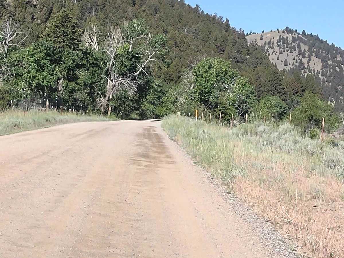 Cattle Drive to Bear Gulch trail photo