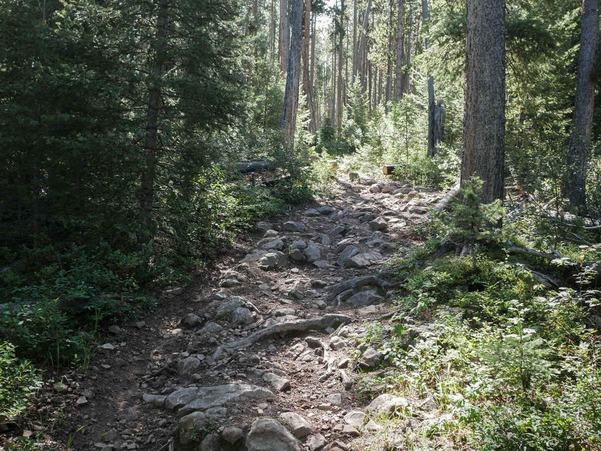 Porcupine - FS 199 trail photo