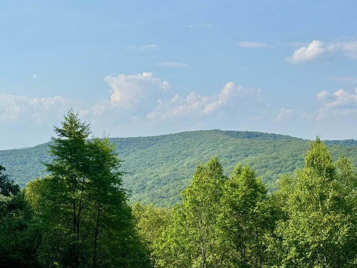 Trout Run Road photo 2