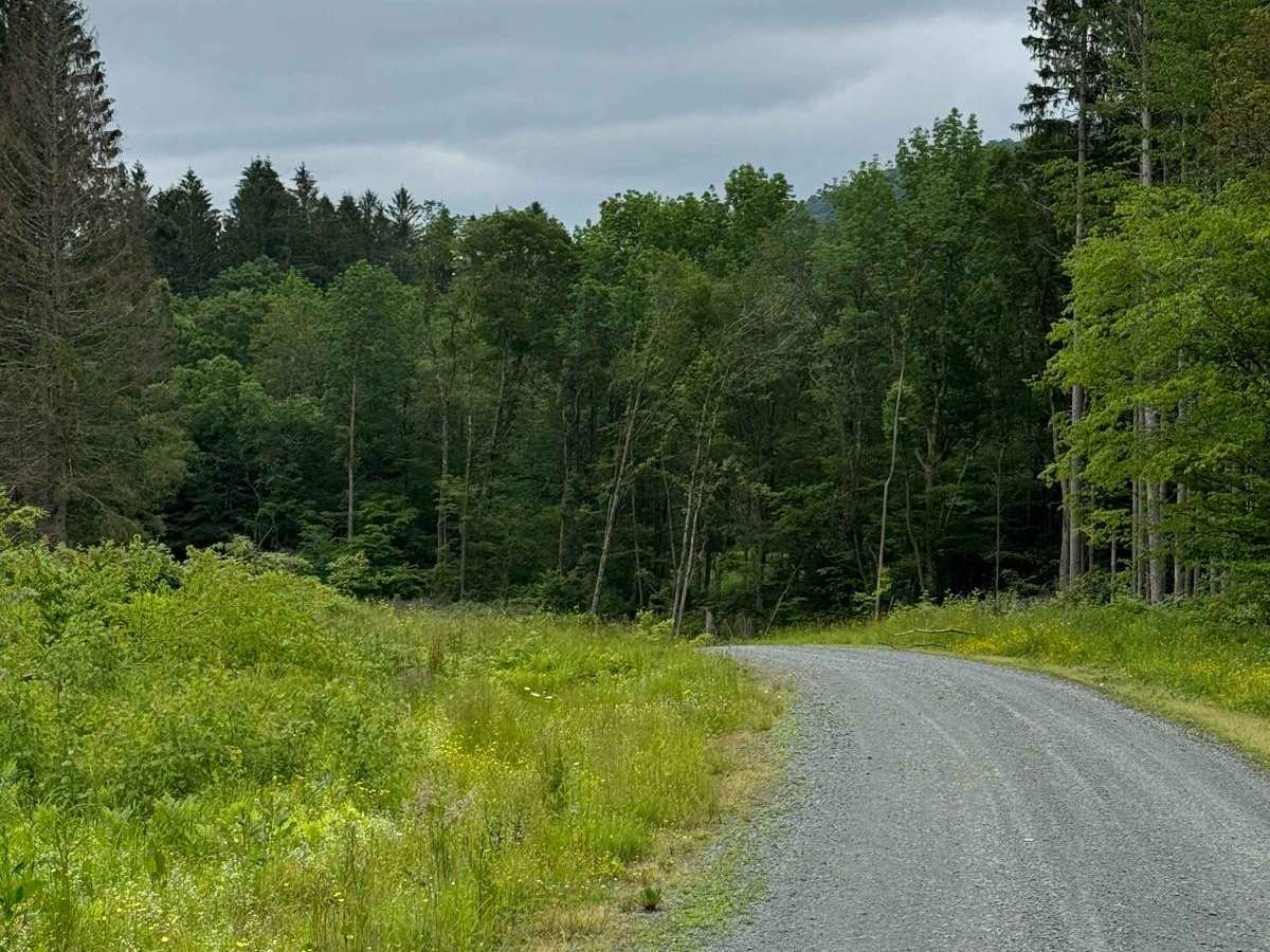 West Trout Brook Road photo 5