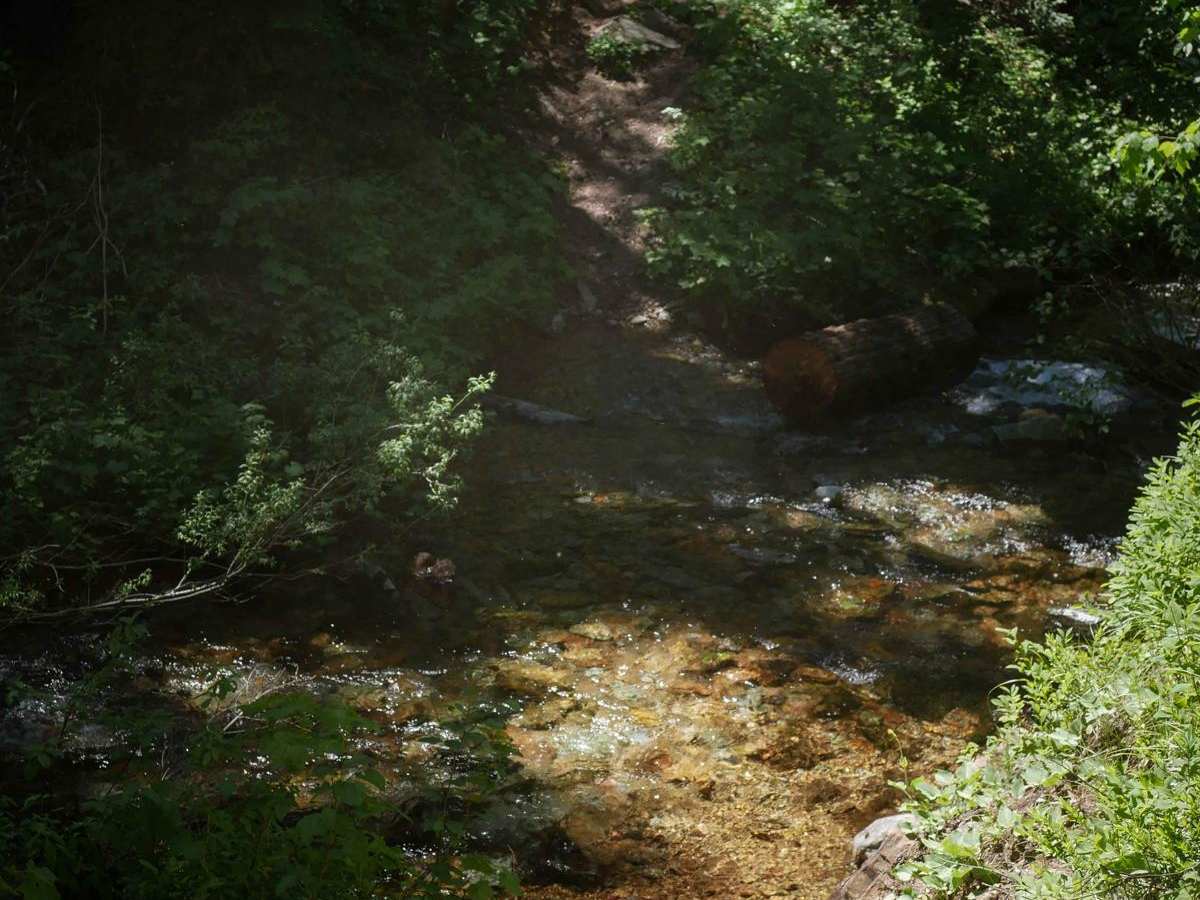 Telichpah Creek NRT photo 6