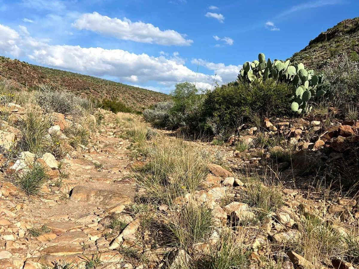 Paint Gap Road photo 3