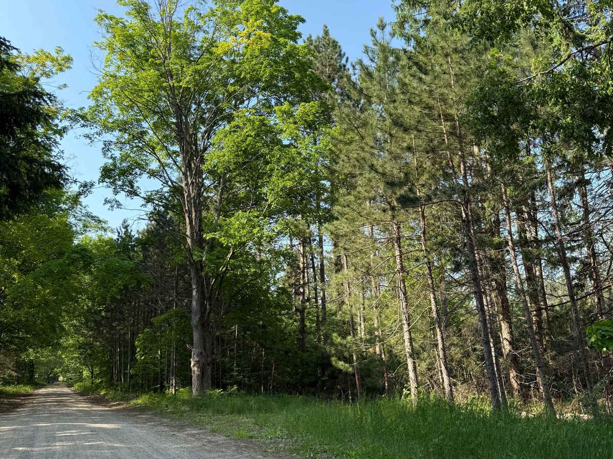 Townline Trail photo 4
