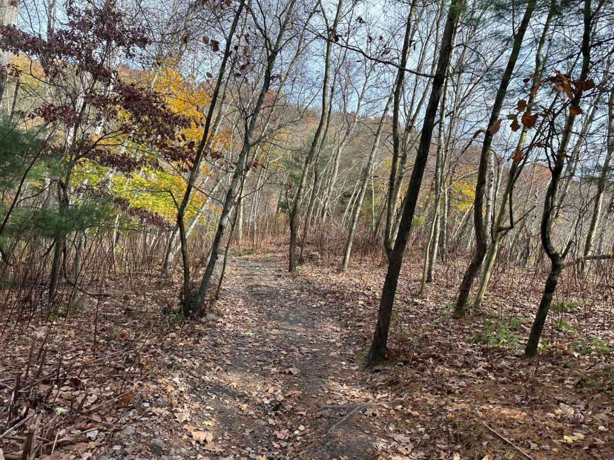 Ashland 149 photo 3