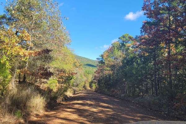 Poteau Mountain And Rail Tracks