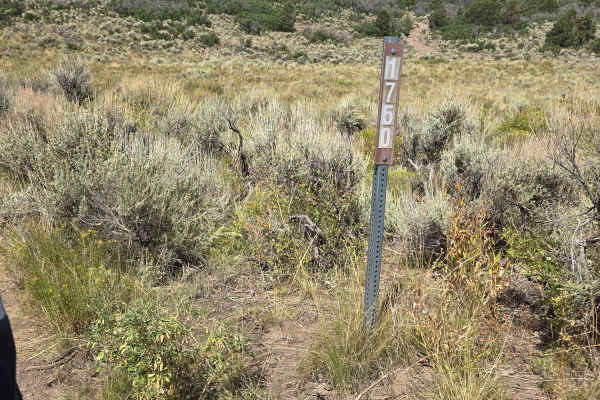 Trail 4994 - FSR 41750