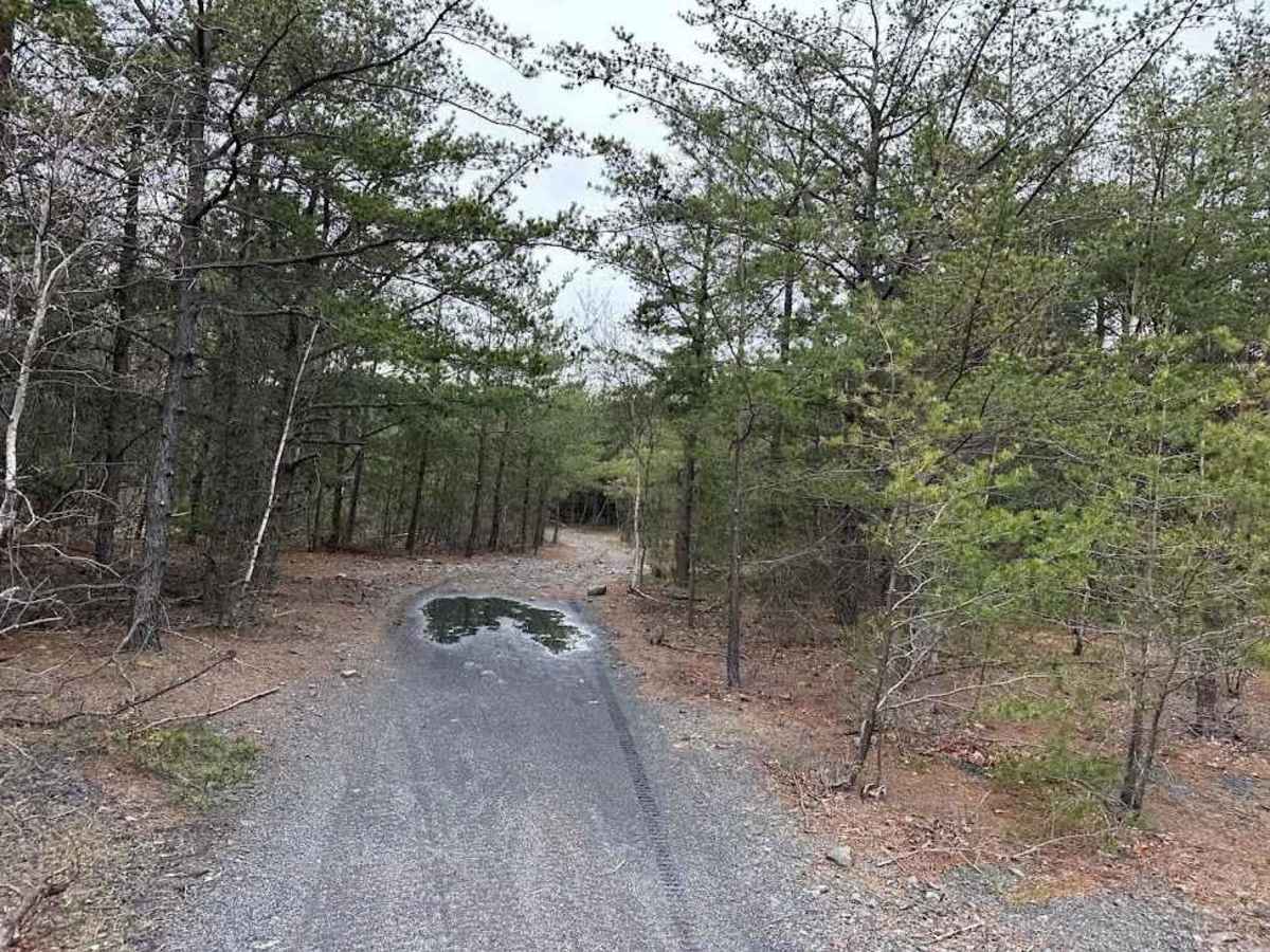 Burma 45 trail photo