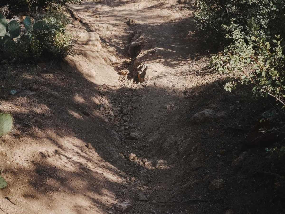 Trail 3 photo 5
