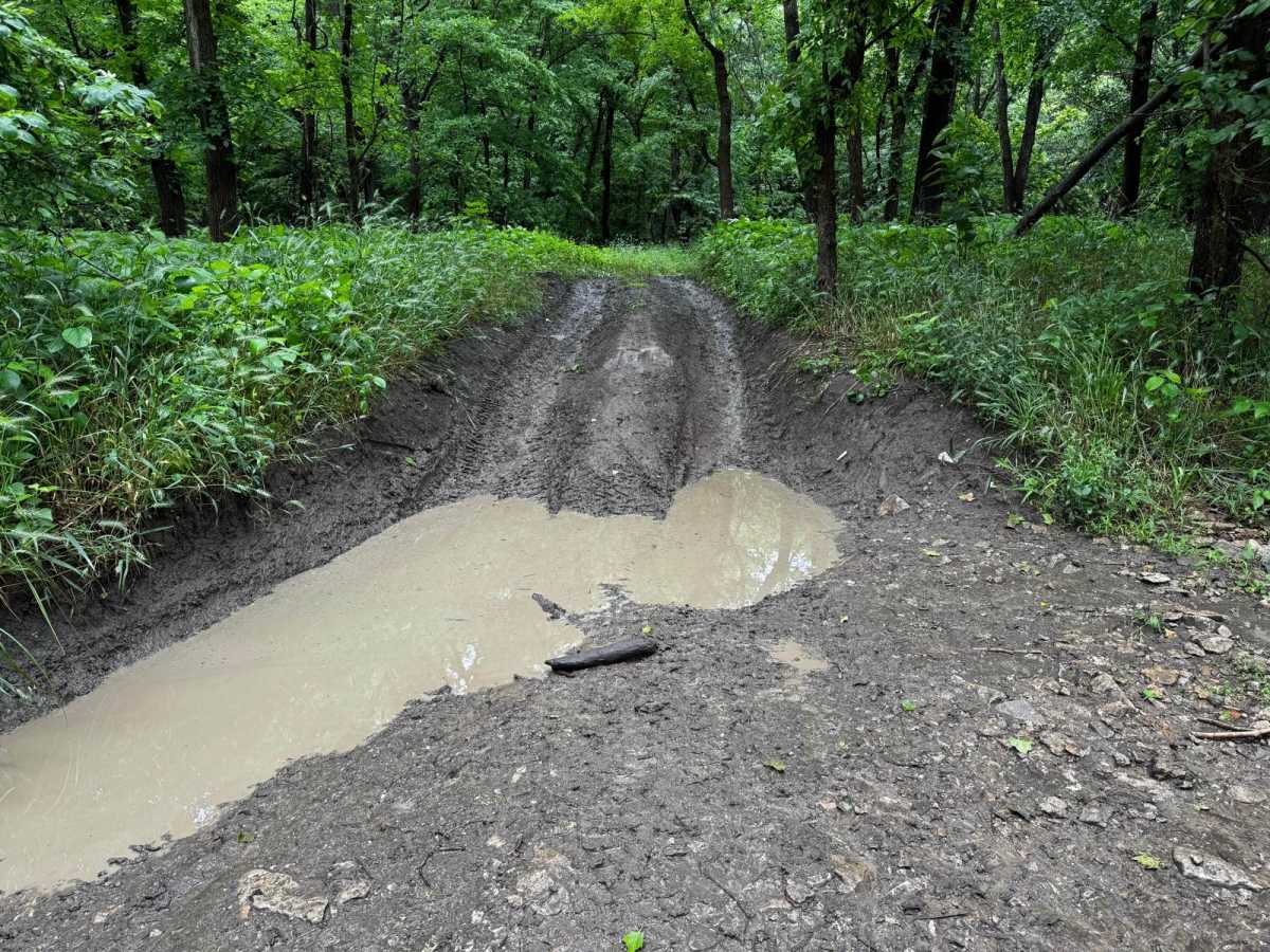 Green 197 trail photo