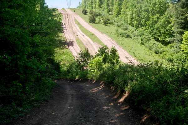 Trail 20 Powerlines