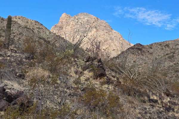 Round the Mountain Trail
