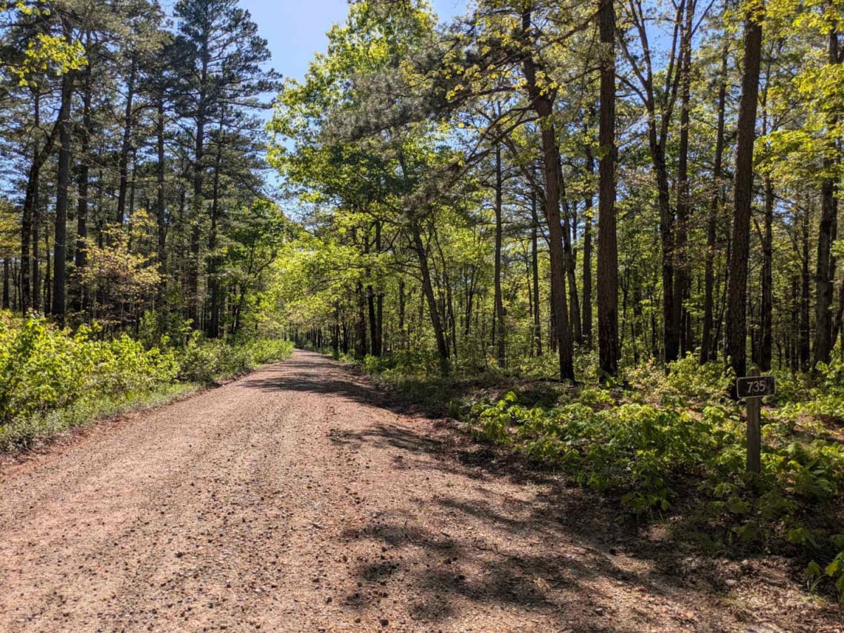 Pitfork Road photo 4