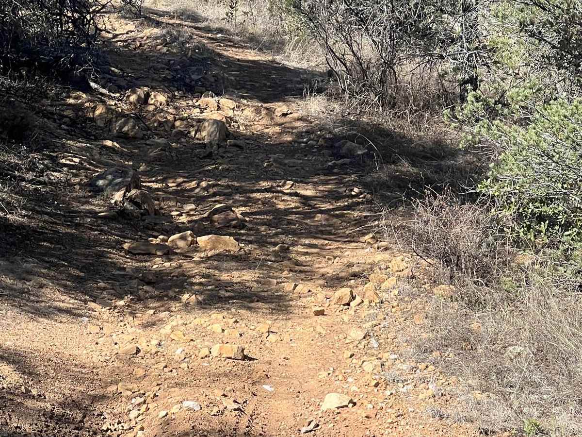 FS 4250 R for Ruts photo 3