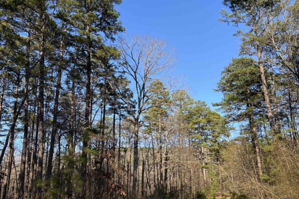 Wildcat Mountain 179