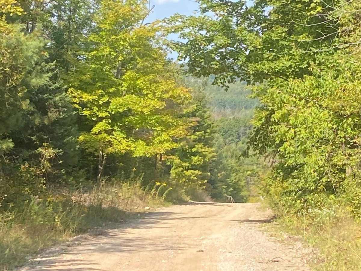 Fifth Line Run photo 5