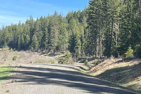 Cherry Butte Lower Road