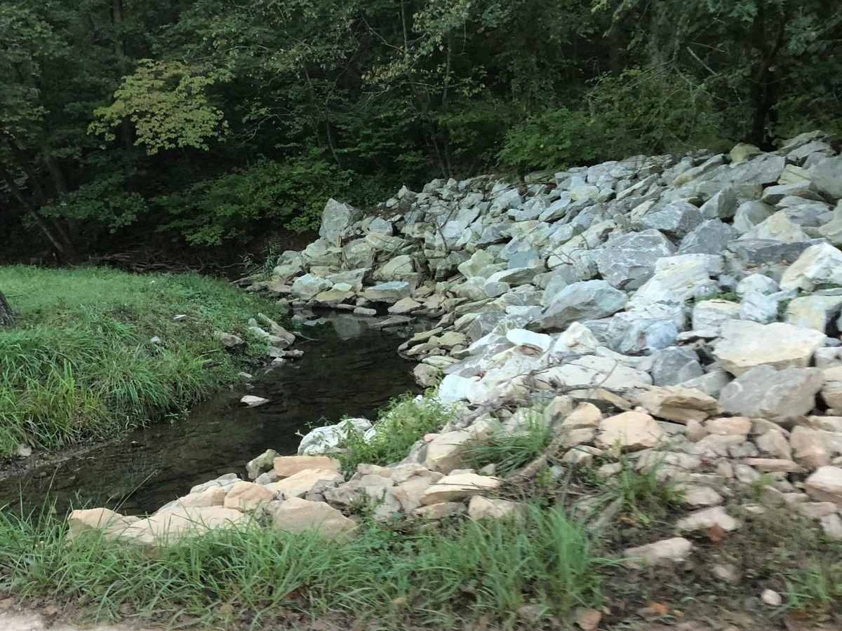 Hayfield Trail photo 4