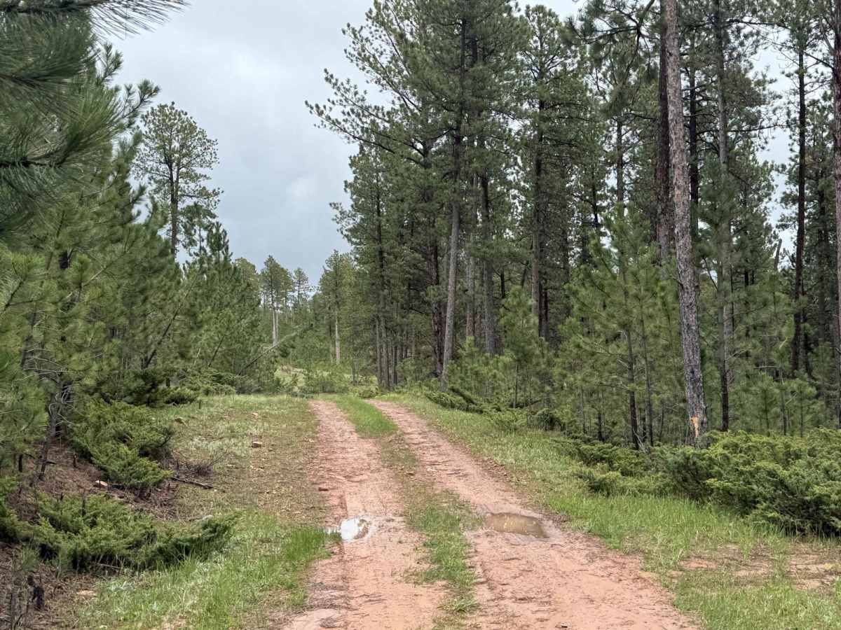 Stots Ridge photo 6