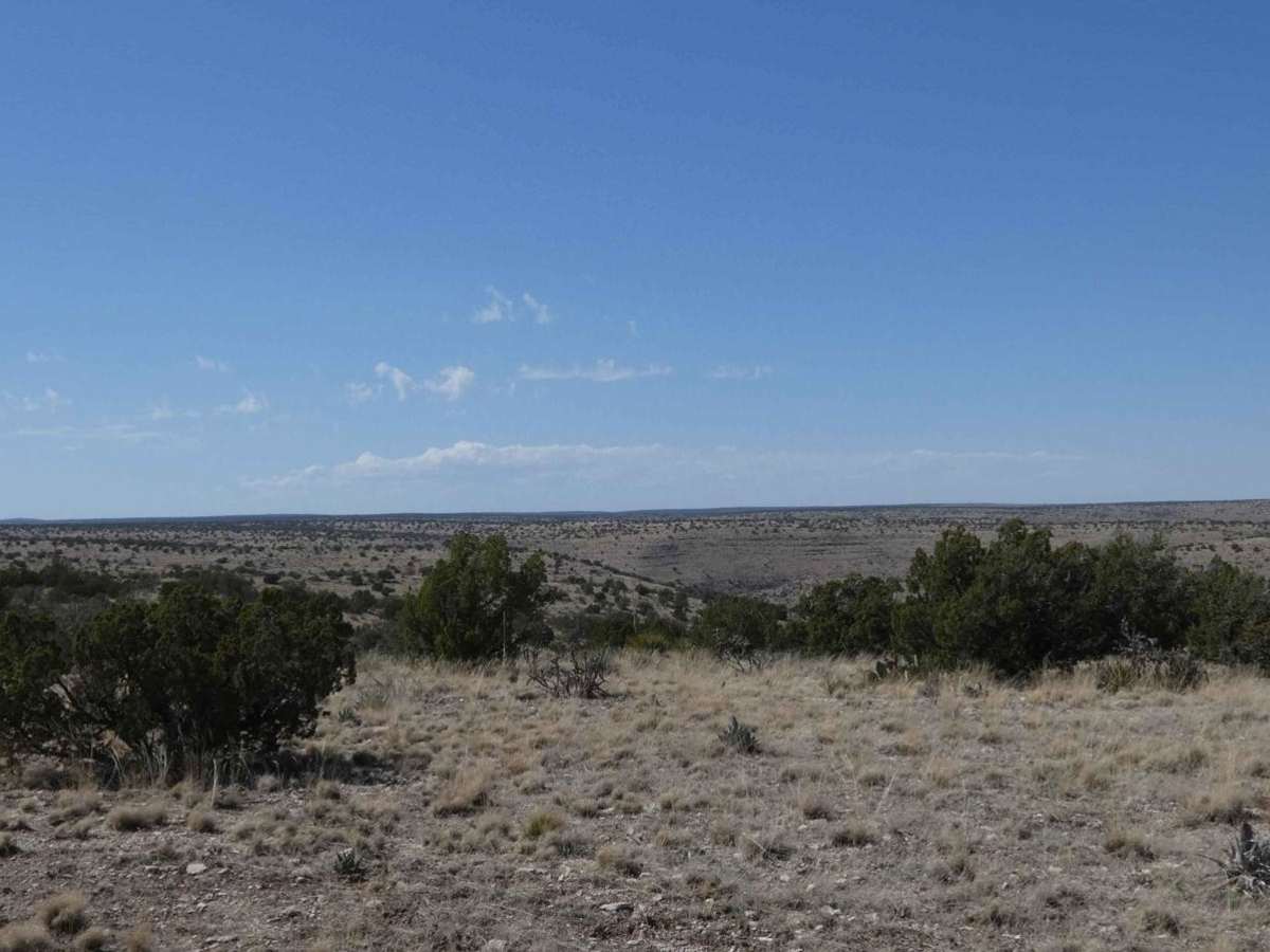 Indian Creek Overlook photo 6