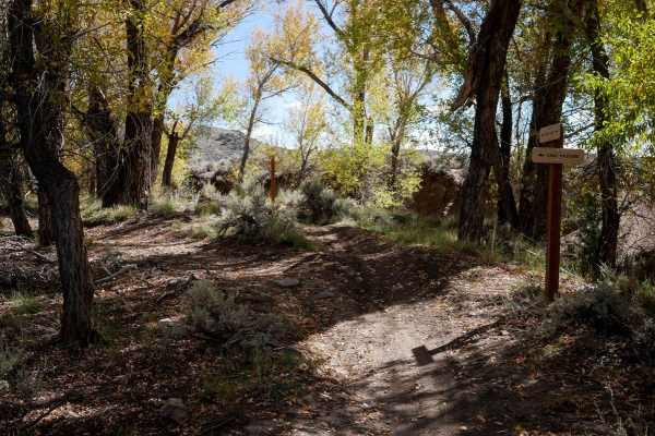 Sandy Wash