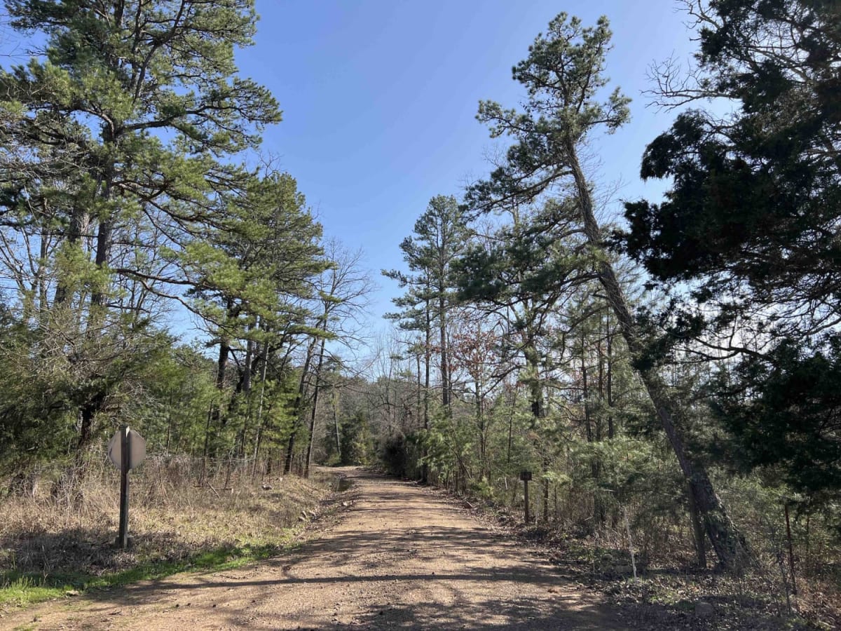 Robertson Creek 163 trail photo