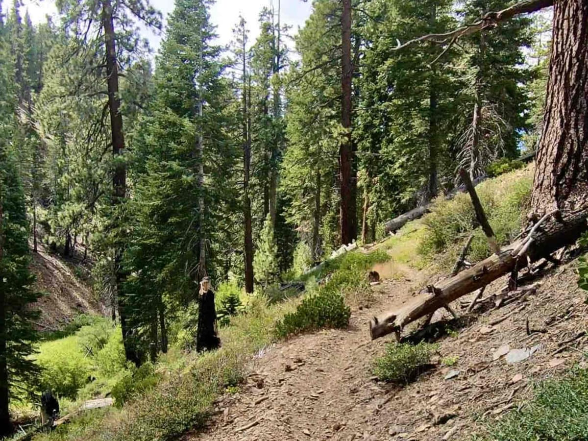 Beach Trail photo 2