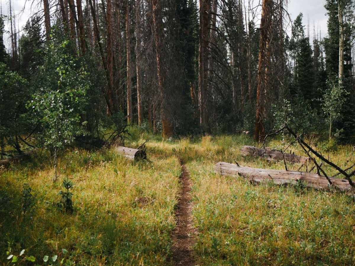 Valdez Trail trail photo